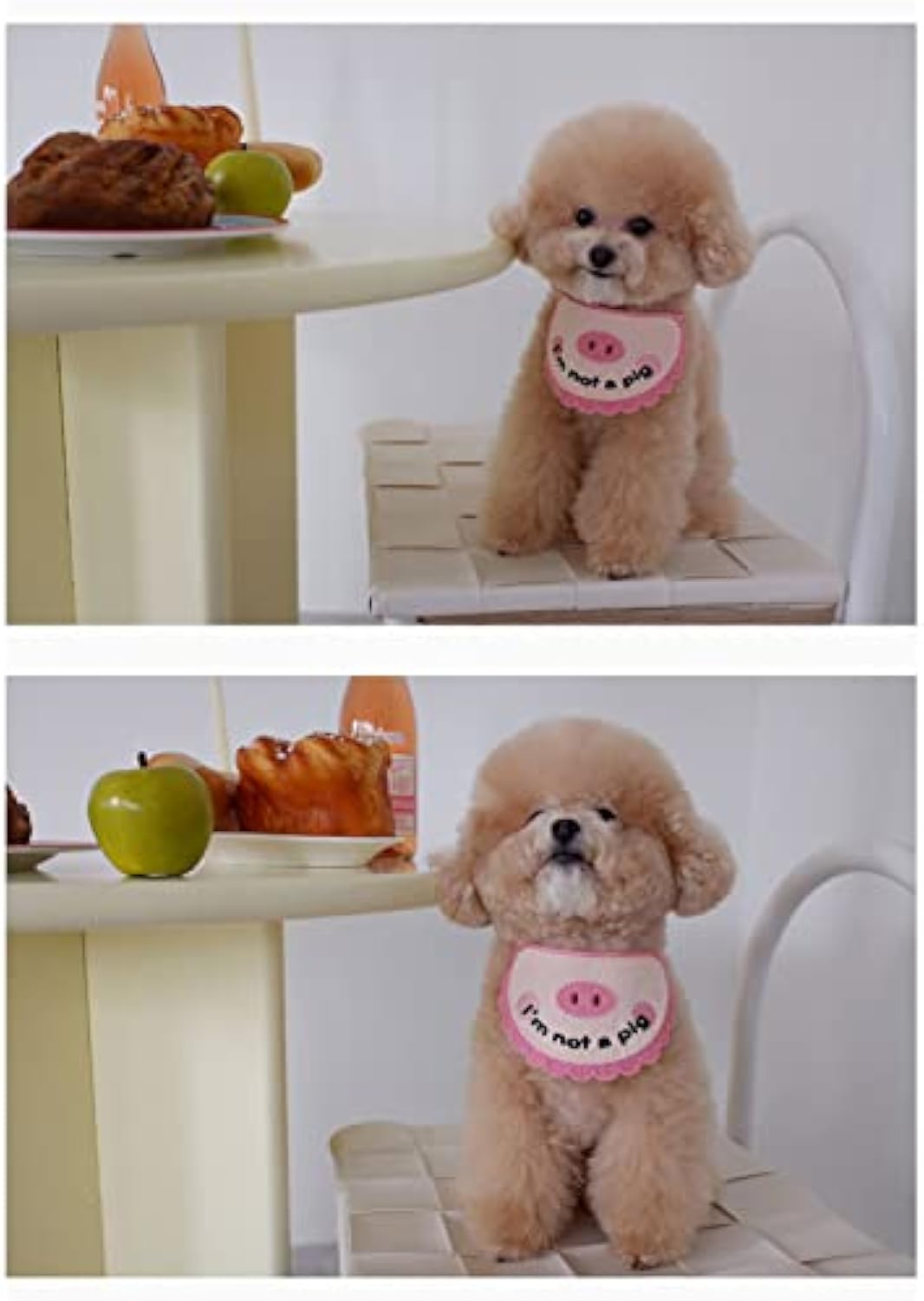 HKM-1771965 Super Soft Crocheted Cat Towel with Adorable Pig Decoration for Pets