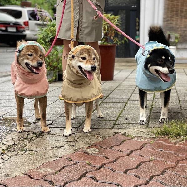 HKM-1772093 Large Dog Raincoat - Waterproof Polyester, Spliced Design in Multiple Colors and Sizes