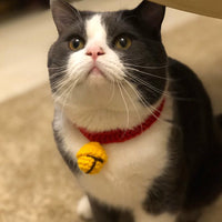 HKM-1772477 Cute Cartoon Wool Cat Collar in Red and Yellow, Adjustable 15cm-30cm for All Seasons