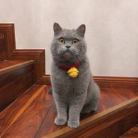 HKM-1772477 Cute Cartoon Wool Cat Collar in Red and Yellow, Adjustable 15cm-30cm for All Seasons