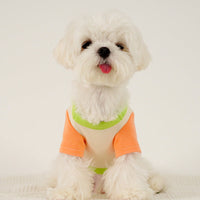 HKM-1775037 Colour Blocked Polyester Dog Shirt - Powder Blue & Green Orange, Fashion Minimalist Style
