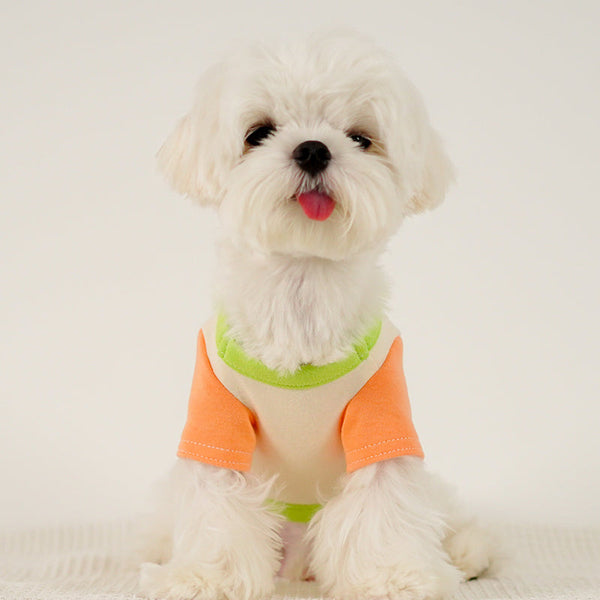 HKM-1775037 Colour Blocked Polyester Dog Shirt - Powder Blue & Green Orange, Fashion Minimalist Style