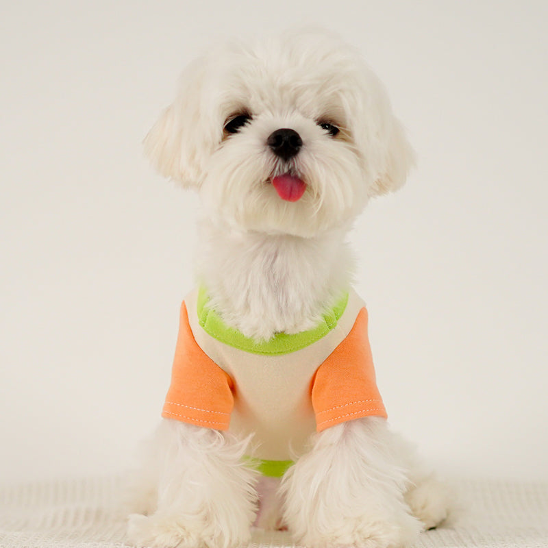 HKM-1775037 Colour Blocked Polyester Dog Shirt - Powder Blue & Green Orange, Fashion Minimalist Style