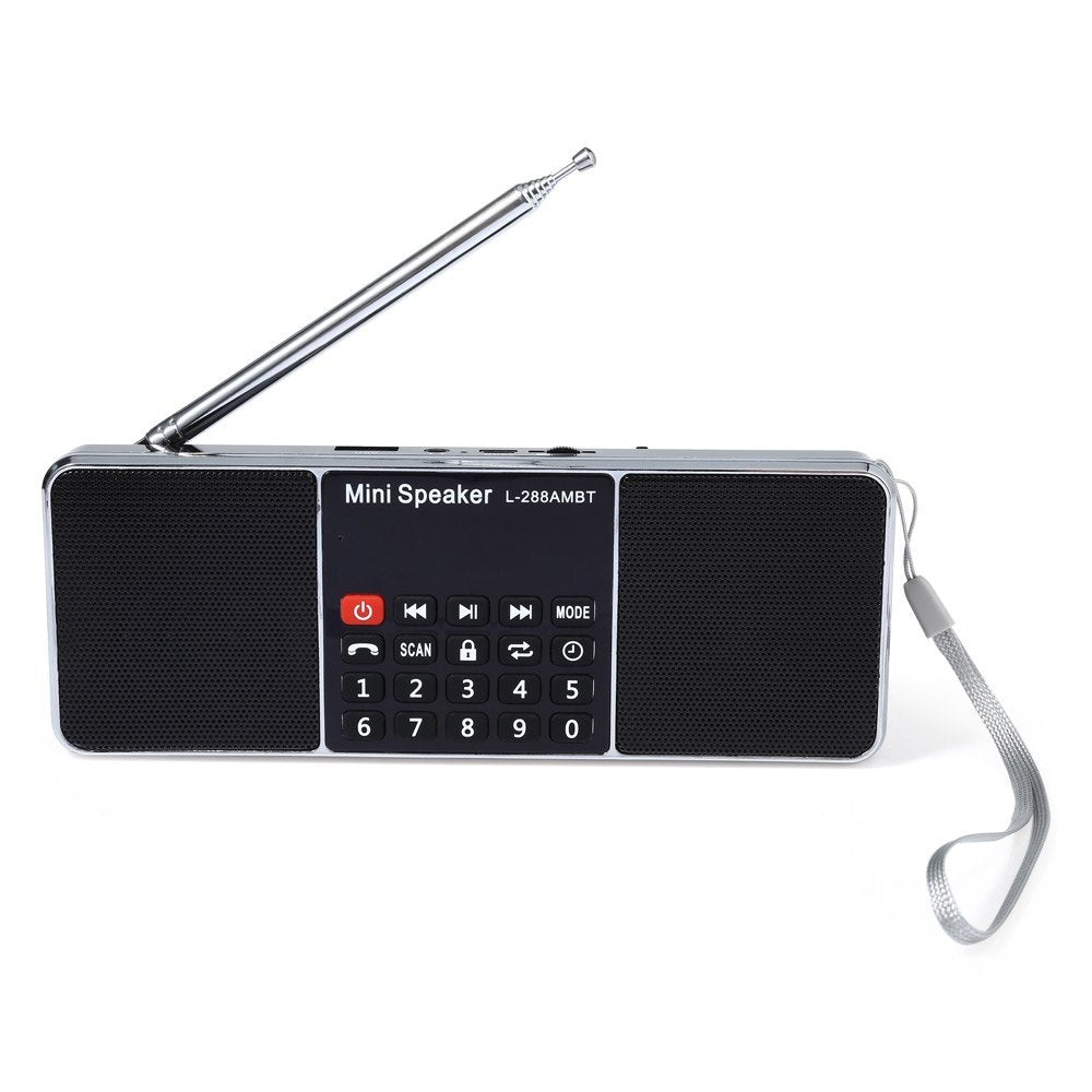 HKM-178515 Portable Bluetooth Speaker with AM/FM Radio, Rechargeable Battery, LCD Display, and Multi-format Playback Support