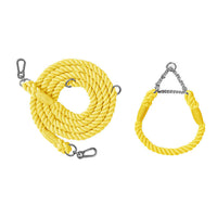 HKM-1791549 Multifunctional Double Head Pet Leash with Rainbow and Mint Green Options