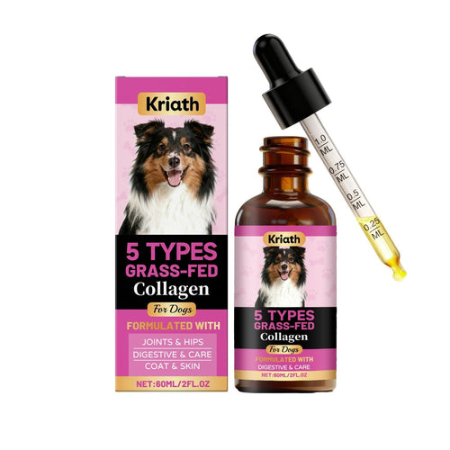 HKM-1797565 Comprehensive Dog Collagen Drops with Probiotics and Joint Support Ingredients