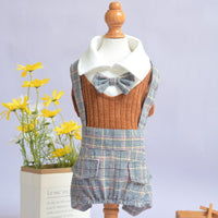 HKM-1798077 Orange and Dark Blue Cotton Dog Shirt ¨C Available in Sizes S to 2XL