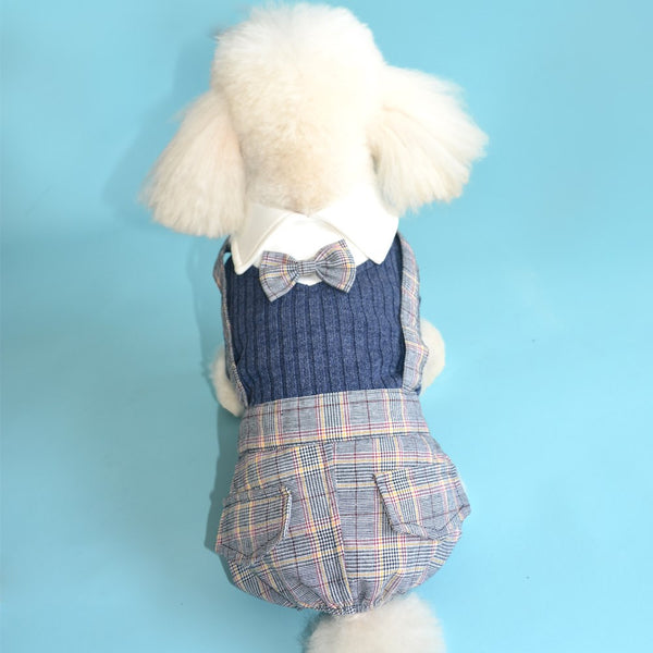 HKM-1798077 Orange and Dark Blue Cotton Dog Shirt ¨C Available in Sizes S to 2XL