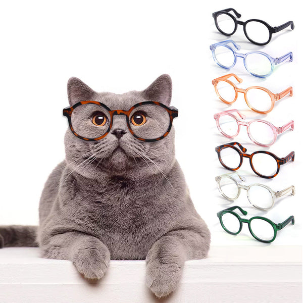 HKM-1799101 Stylish Plastic Transparent Cat Glasses in Multiple Colors