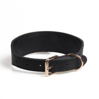 HKM-1799485 Simple Medium and Large PU Dog Collar in Black, Light Yellow, and White Yellow