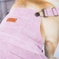 HKM-1799869 Spring and Summer Corduroy Pet Suspenders in Beige, Light Blue, and Light Pink