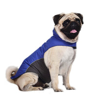 HKM-1801661 Waterproof Vest Jacket for Dogs - Essential Autumn and Winter Pet Wear