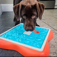 HKM-1808061 Interactive Hidden Food Puzzle Toy for Dogs - 38x38cm Plastic Design