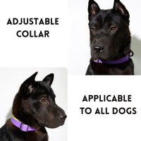 HKM-1812797 Honeycomb Embossed Dual-Color Waterproof Dog Leash Set with Enhanced Grip