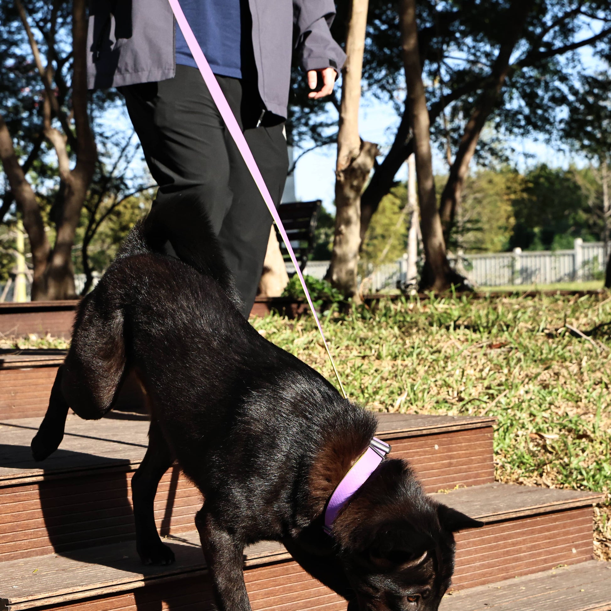 HKM-1812797 Honeycomb Embossed Dual-Color Waterproof Dog Leash Set with Enhanced Grip