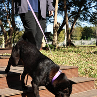 HKM-1812797 Honeycomb Embossed Dual-Color Waterproof Dog Leash Set with Enhanced Grip