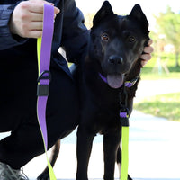 HKM-1812797 Honeycomb Embossed Dual-Color Waterproof Dog Leash Set with Enhanced Grip