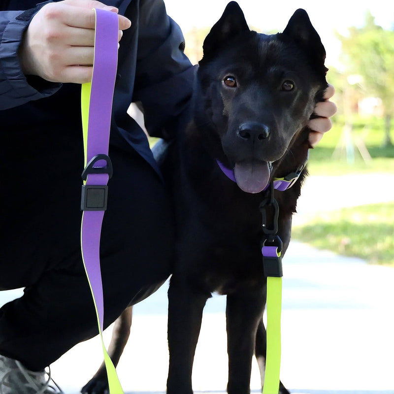 HKM-1812797 Honeycomb Embossed Dual-Color Waterproof Dog Leash Set with Enhanced Grip