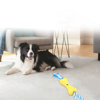 HKM-1816253 Durable Pet Chew Toy with Porous Design for Boredom Relief and Treat Dispensing