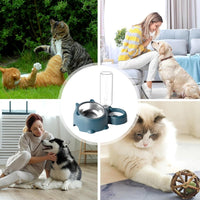 HKM-1818941 Tilted Pet Feeding Set with Removable Water Dispenser Bowl for Dogs and Cats
