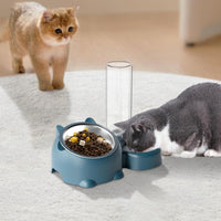HKM-1818941 Tilted Pet Feeding Set with Removable Water Dispenser Bowl for Dogs and Cats