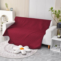 HKM-1825981 Reversible Waterproof Pet Blanket for Dogs - Soft Sofa and Couch Cover, Washable, Furniture Protector