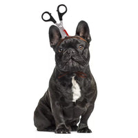 HKM-1828669 Halloween Pet Headgear for Dogs and Cats - Cute Cloth Headdresses for Festive Fun