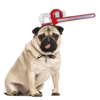 HKM-1828669 Halloween Pet Headgear for Dogs and Cats - Cute Cloth Headdresses for Festive Fun