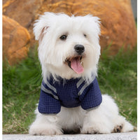 HKM-1829053 Outdoor Adventure Vest for Small and Medium Dogs, Warm Cotton Windbreaker with Leash Ring and Secure Pocket