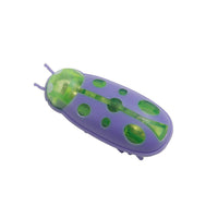 HKM-1831741 Interactive Mini Electric Bug Toy for Cats – Cute Ladybird Beetle Design with Walking Motion