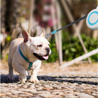 HKM-1834045 Portable Automatic Retractable Pet Leash - Durable 304 Stainless Steel & ABS Design in Blue