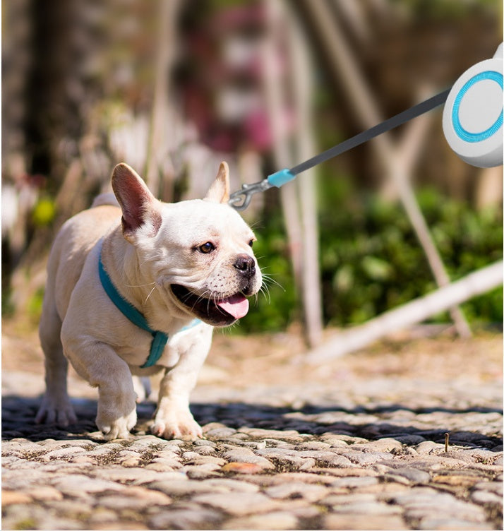 HKM-1834045 Portable Automatic Retractable Pet Leash - Durable 304 Stainless Steel & ABS Design in Blue