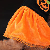 HKM-1836605 Classic Halloween Pumpkin Skirt Costume for Dogs and Cats - Crystal Velvet Pet Clothing