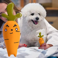 HKM-1837501 Vegetable Dog Chew Toys - Cartoon Onion & Eggplant Teething Latex Toy for Puppies