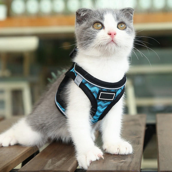 HKM-1839293 Reflective Pet Chest Harness with Wave Pattern - Blue & White, Sizes S to XL