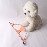 HKM-1839805 Floral Series Pet Harness with Leash in Multiple Colors and Styles