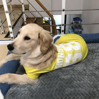 HKM-1844157 Lightweight Summer Dog Vest - Breathable Quick Drying Sports Tank Tops in Various Colors and Sizes