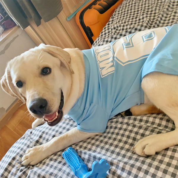 HKM-1844157 Lightweight Summer Dog Vest - Breathable Quick Drying Sports Tank Tops in Various Colors and Sizes