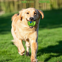 HKM-184659 Dog Toy Anti-stuffy Gadget Bite-resistant