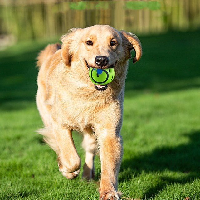 HKM-184659 Dog Toy Anti-stuffy Gadget Bite-resistant