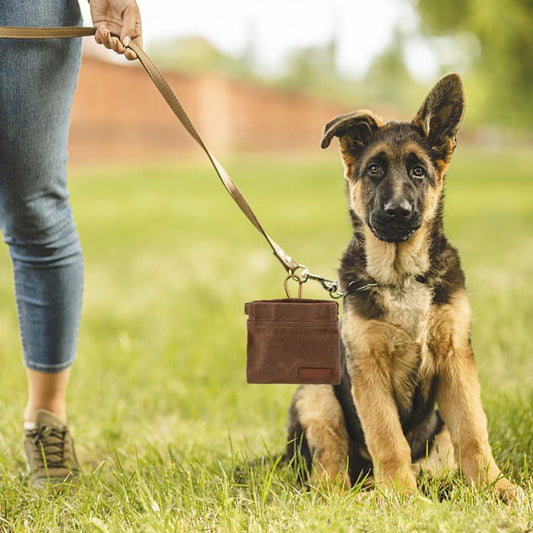 HKM-1847997 Outdoor Pet Snack Bag Made of Waxed Canvas - Compact & Stylish Training Accessory in Multiple Colors