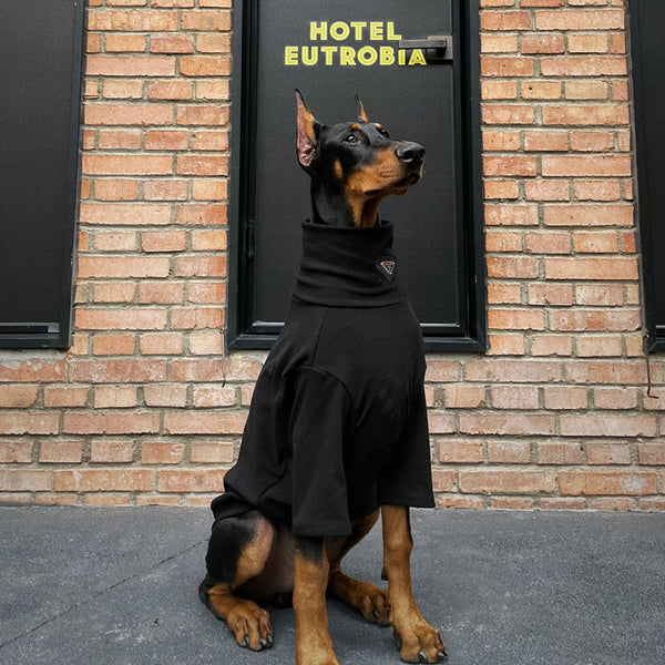 HKM-1849533 Stylish Anti-Lint Sweater for Golden Retrievers and Labradors - Available in Various Sizes and Colors