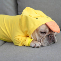 HKM-1849917 Adorable Yellow Pet Costume for Small to Extra-Large Dogs in Cloth Material