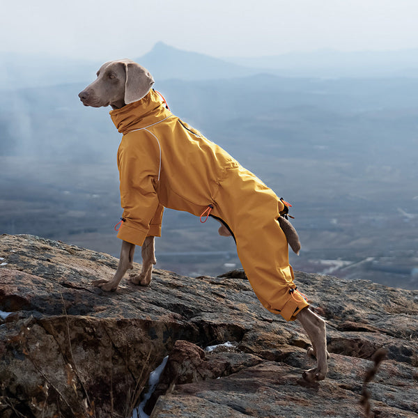 HKM-1851197 Windproof Turtleneck Jacket for Large Dogs - Keep Warm in Style, Available in Turmeric and Army Green