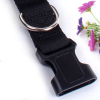 HKM-1851325 Cushioned Stretch Nylon Dog Leash with Hands-Free Design and Extra Storage Ring