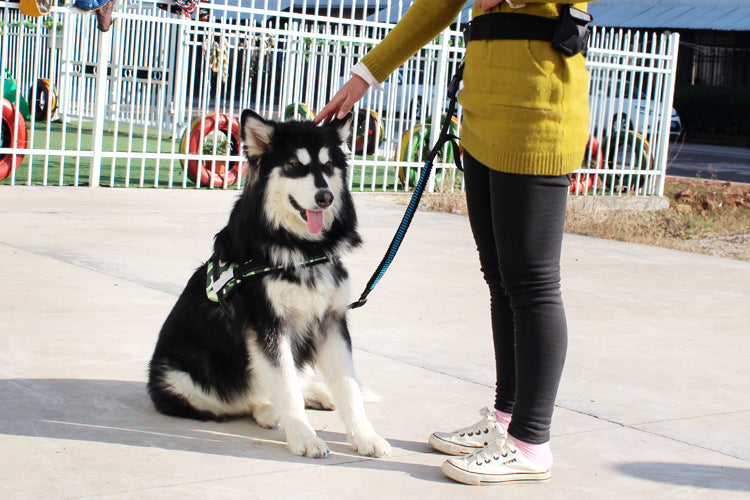HKM-1851325 Cushioned Stretch Nylon Dog Leash with Hands-Free Design and Extra Storage Ring