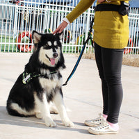 HKM-1851325 Cushioned Stretch Nylon Dog Leash with Hands-Free Design and Extra Storage Ring