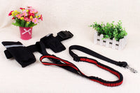 HKM-1851325 Cushioned Stretch Nylon Dog Leash with Hands-Free Design and Extra Storage Ring
