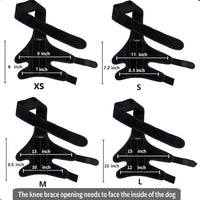 HKM-1854141 Dog Leg Injury Support Rehabilitation Belt - Black Polyester, Available in XS to L
