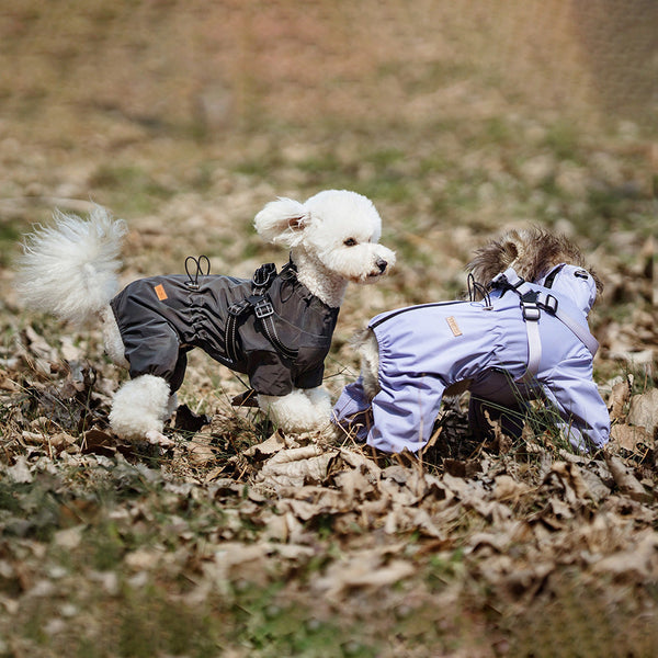 HKM-1855933 Stylish Waterproof Dog Raincoat in Multiple Colors and Sizes